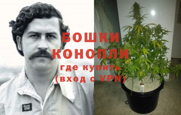 метадон Гусь-Хрустальный