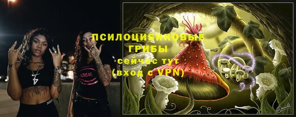 метадон Гусь-Хрустальный
