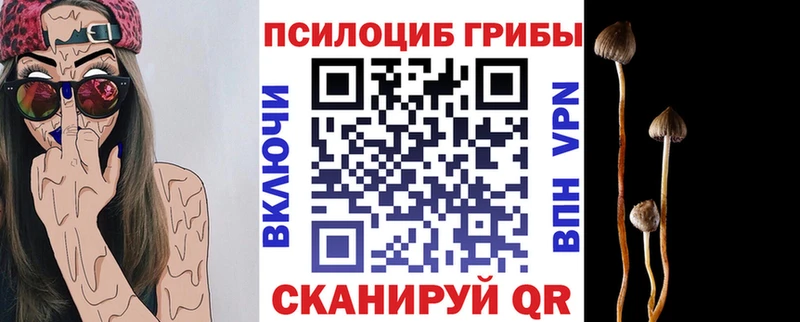 Купить  Обь  Псилоцибиновые грибы прущие грибы 